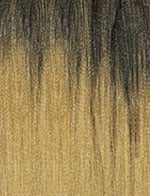 1B/27 - Ombre
