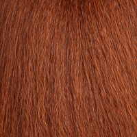 30 - Auburn