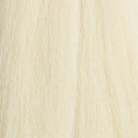 613 - Platinum Blonde
