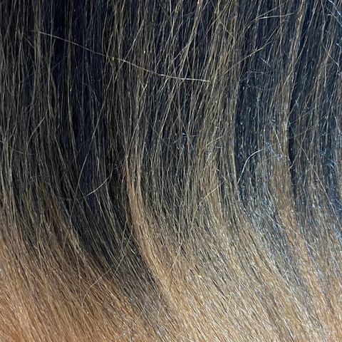 Braid Miracle ombre braiding hair in 1B and 27 blend